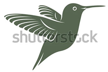 kolibri SS